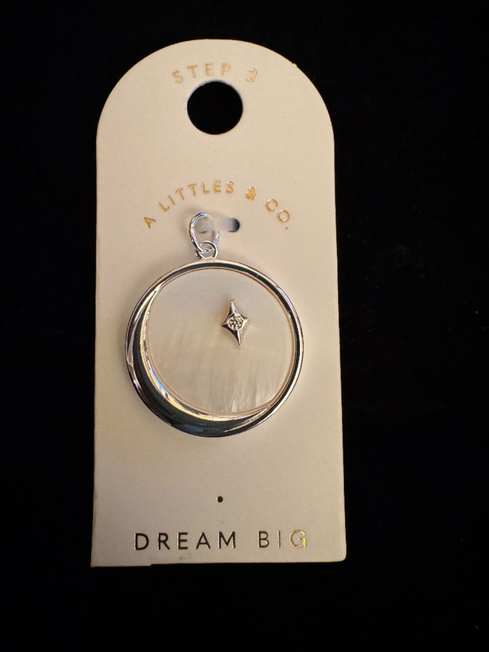 A Littles & Co. “Dream Big” Charm – NWT ✨